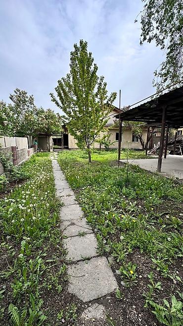 123: 6 соток, Для бизнеса, Договор купли-продажи, Красная книга, Тех паспорт — 2