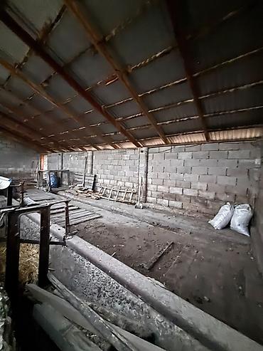 Аренда участков: 4 соток Для бизнеса, Электричество — 5