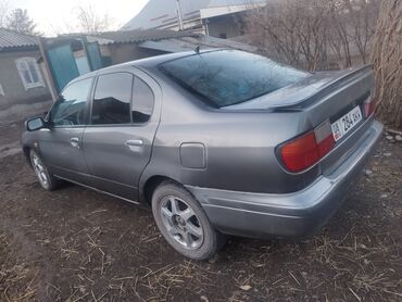 диски на авто: Nissan Primera: 1998 г., 2 л, Механика, Бензин, Седан