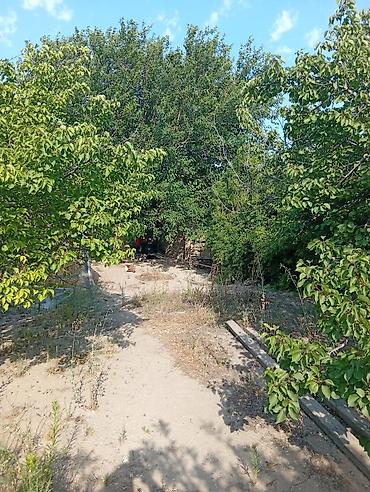 bine sovxoz evler: Bakı, Dübəndi, 5 otaqlı, Köhnə tikili, 1200 kv. m — 8