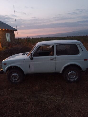 зеркало нива: ВАЗ (ЛАДА) 4x4 Нива: 1987 г., 1.7 л, Механика, Бензин, Внедорожник