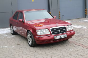 грузовые мерседес: Mercedes-Benz 280: 1995 г., 2.8 л, Автомат, Бензин