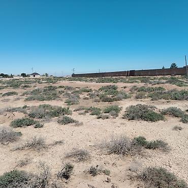 Torpaq sahələrinin satışı: 6 sot — 5