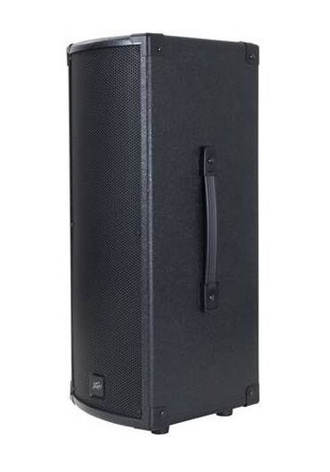 купить рация: Колонка P1 BT bluetooth Продаю профессиональную акустическую систему