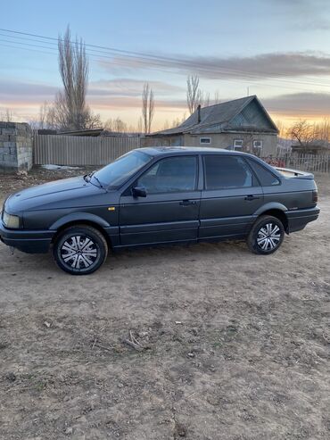 мухобойка пассат: Volkswagen Passat: 1989 г., 1.9 л, Механика, Бензин