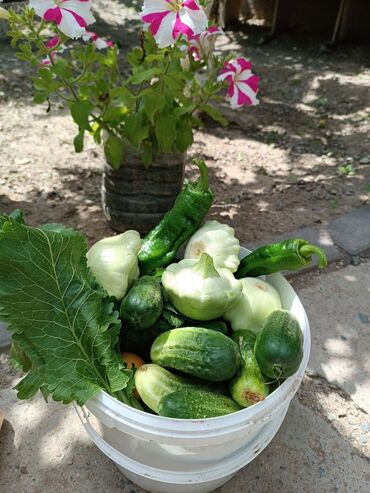 Продажа участков: 10 соток — 29