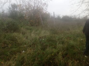 Torpaq sahələrinin satışı: 400 sot, Kənd təsərrüfatı, Maklerlər narahat etməsin — 18