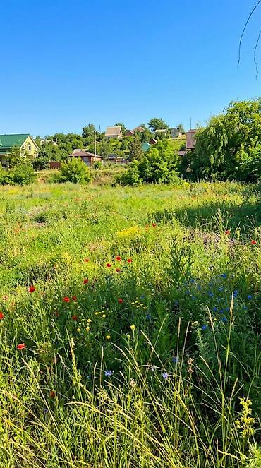 Продажа участков: 5 соток, Для строительства, Красная книга — 6