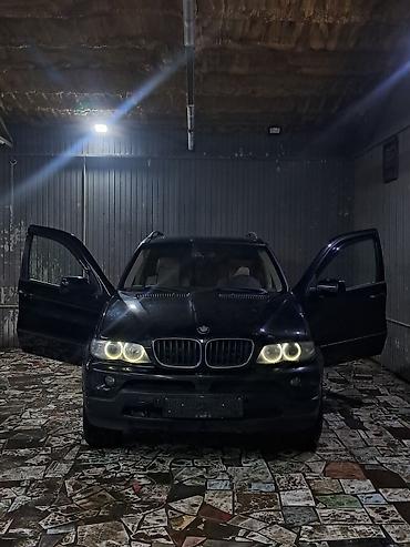 BMW: BMW X5: 2004 г., 3 л, Автомат, Дизель, Кроссовер — 6