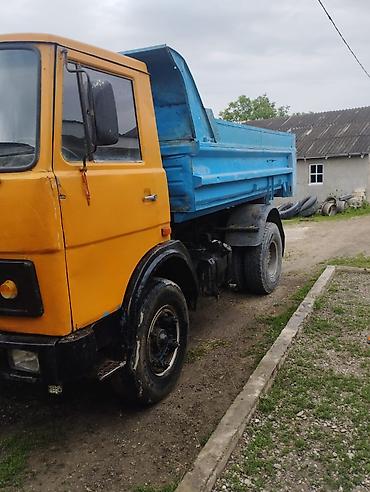 Yük maşınları: MAZ dumper yük maşını - Markası/modeli: MAZ (klassik kabina, ön — 6