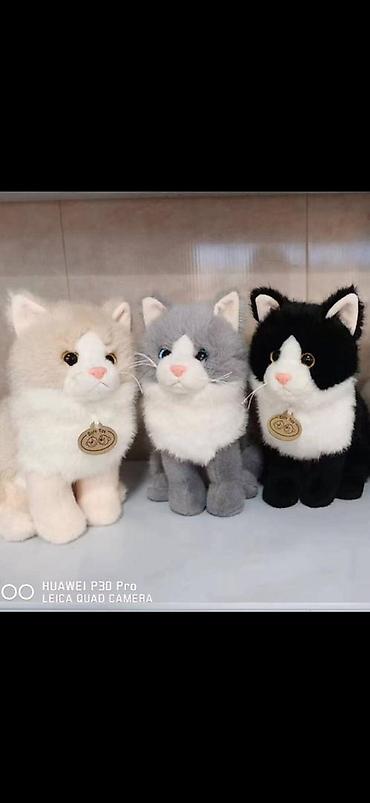 миша: Мишки 100см, 130см, 140см,160см, 180см, 200см — 5