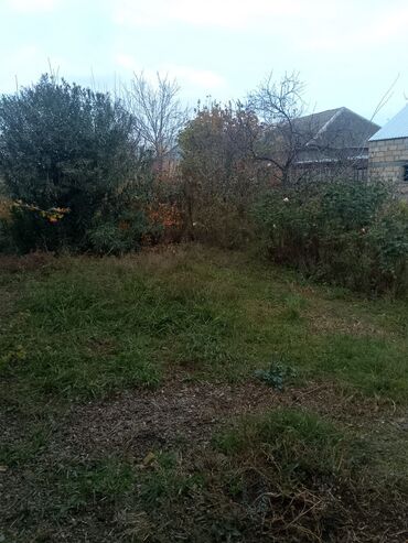 Həyət evləri və villaların satışı: 3 otaqlı, 8 kv. m, Kredit yoxdur, Yeni təmirli -da lalafo.az — 7 Həyət evləri və villaların satışı: 3 otaqlı, 8 kv. m, Kredit yoxdur, Yeni təmirli — 7