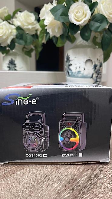 rush wave: Портативная мультимедийная акустика Sing-e ZQS1362 - Модель: ZQS1362 — 2