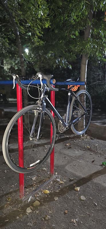 Спорт жана хобби: Шоссе велосипеди, Specialized, Велосипед алкагы M (156 - 178 см), Колдонулган — 8
