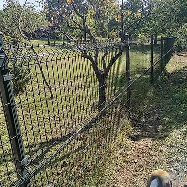 Proizvodi od rolovanog metala, metalni kanali: Panelne ograde akcija panel 3d 153x250 4 mm cink+pvc. Panelna — 7