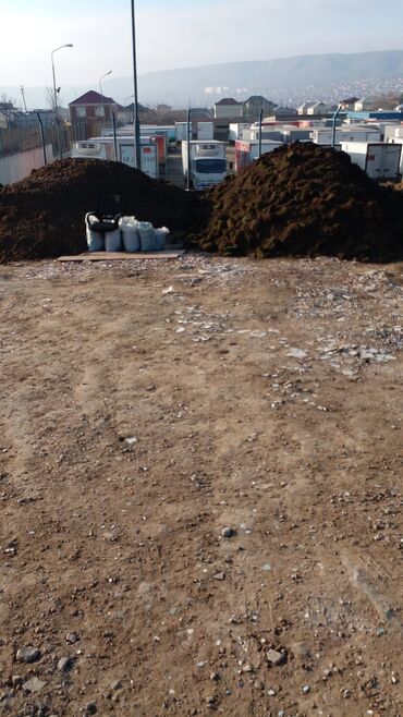 Ağaclar: Hər vaxtınız xeyir olsun dəyərli müştərilərimiz. Bizə vaxt ayırdığınız — 17