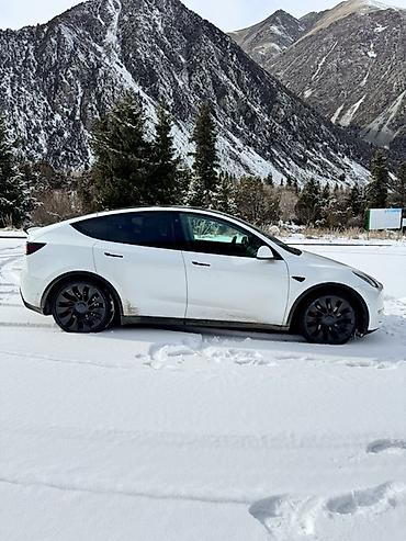 Tesla: Tesla Model Y: 2022 г., 4.4 л, Автомат, Электромобиль, Кроссовер — 4