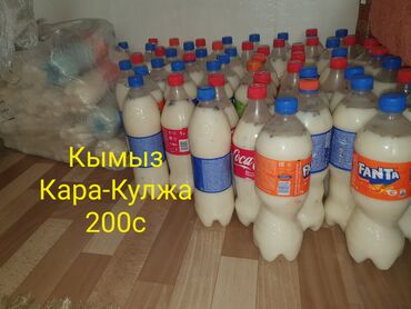 Молочные продукты и яйца: Кымыз
кара кулжа 200 с