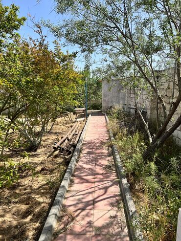 Bağ evlərinin satışı: Bakı, Qala qəs., 150 kv. m, 6 otaqlı, Hovuzlu, Su, Kanalizasiya, Qaz — 6