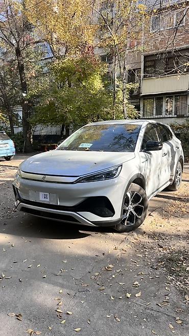 купит byd: BYD Yuan Plus: 2023 г., 0.1 л, Автомат, Электромобиль, Кроссовер — 1