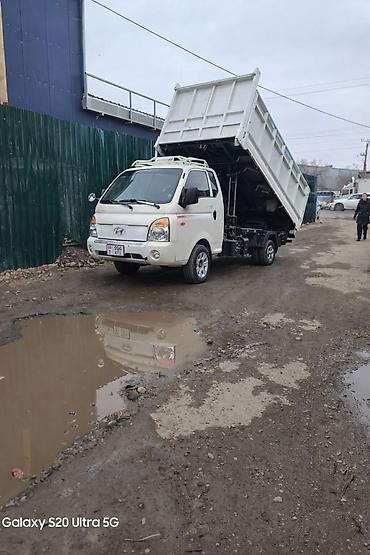 уста евро: 🚛 Такси PORTER – Грузоперевозки самосвал быстро и недорого! 🔹 — 1