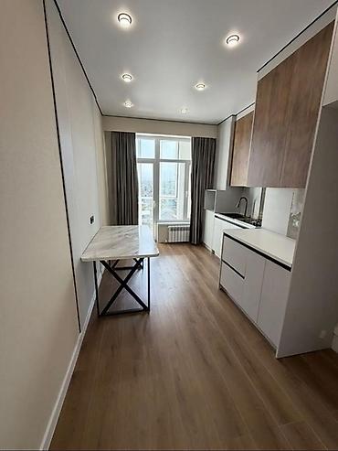 ньюс: 1 комната, 44 м², Пишпек Элитка, 8 этаж, Евроремонт — 4