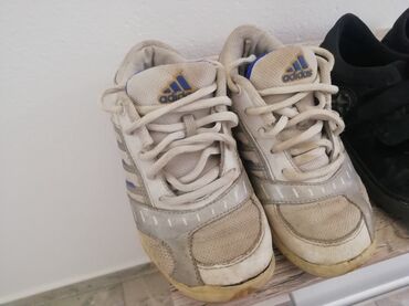 Patike: Patike, Adidas, veličina - 37.5 na lalafo.rs — 7 Patike: Patike, Adidas, veličina - 37.5 — 7