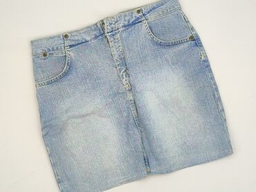 Lee, Women`s skirt, S (EU 36)