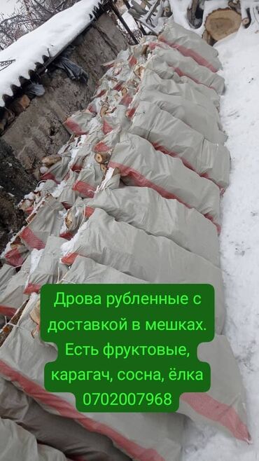 Дрова: Дрова Карагач