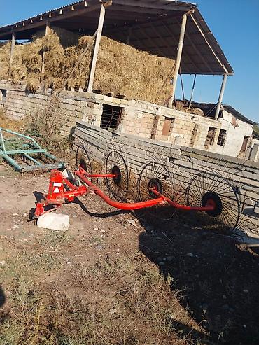 islənmis masin kalonkalari: MTZ traktoru və ot yığımı üçün avadanlıq BARTER VAR YALNIZ MAL VƏ — 4