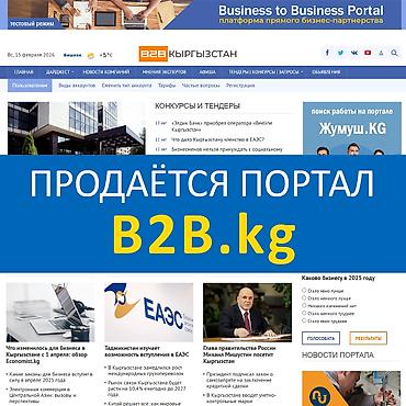 Продаётся бизнес-портал B2B.kg – создайте централизованную систему