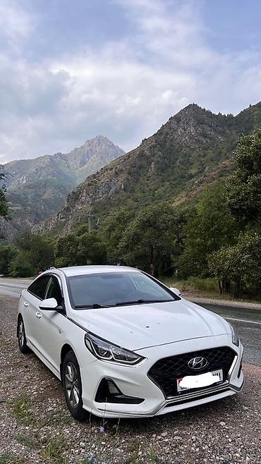 елантра 2017: Hyundai Sonata: 2019 г., 2 л, Автомат, Газ, Седан — 1