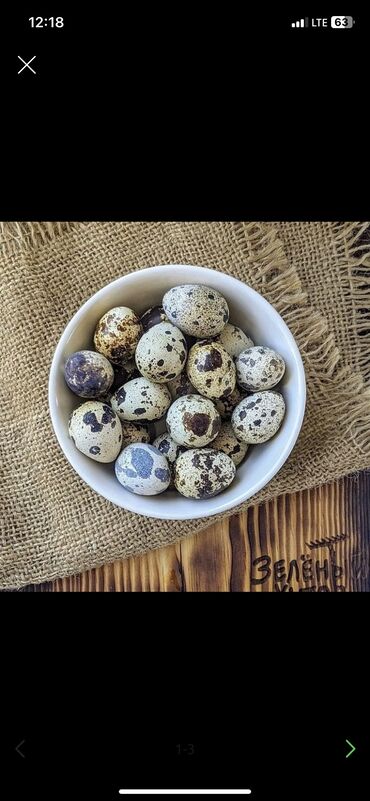 Молочные продукты и яйца: Домашняя перепелиные яйца ! Свежие
Можно и инкубационные