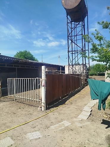 Продажа сельхоз предприятий: Фермерский двор/подворье с хозяйственными постройками и открытыми — 3