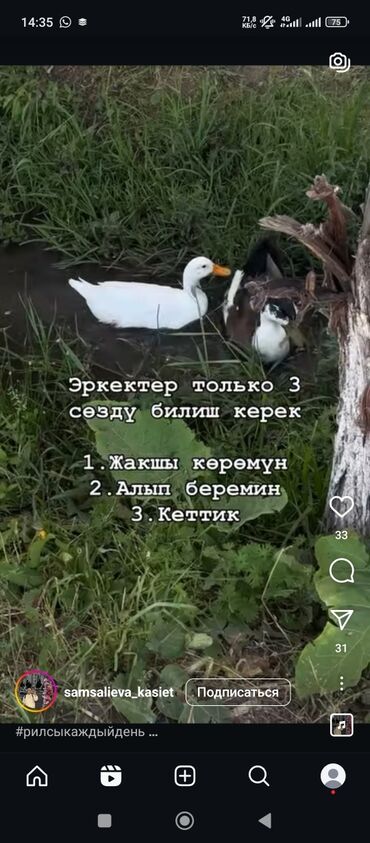 хочу снять квартиру без посредников: 1 комната, 4 м²