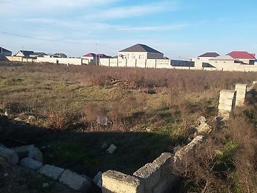 ramanıda: 10 sot, Kənd təsərrüfatı, Mülkiyyətçi, Kupça (Çıxarış) — 4