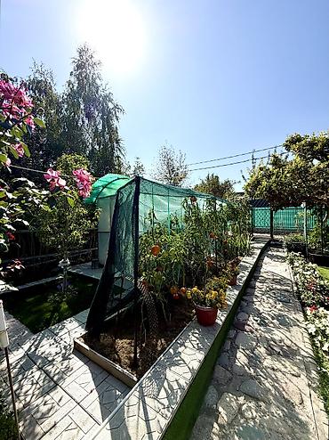 Продажа дачи: 3 комнаты, 88 м², 6 соток, Септик, Холодная вода, Электричество — 29