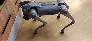 it satiwi: Dördayaqlı robot it – çevik hərəkət, mobil nəzarət və tədqiqat üçün — 1