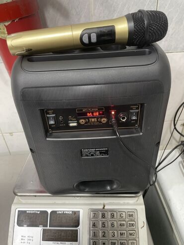 купить микрофон для пк: Портативная акустическая система с поддержкой MP3-плеера и