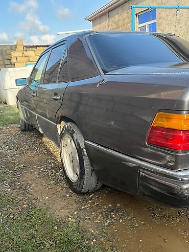 meqan 2: Mercedes-Benz W124: 2.5 l | 1992 il Sedan — 3