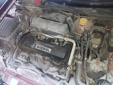 на грузовое авто: Легкий грузовик, Wielton, Стандарт, До 1 т, Новый — 3