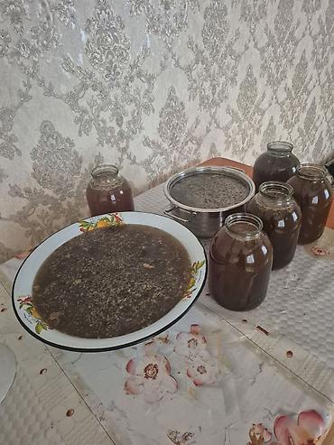 guller: Aran regionunun təbii arı balı kəsimi bitdi və satış başladı.Tam təbii — 2
