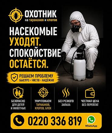 блох: Профессиональная дезинсекция. Что делаем: - Уничтожаем тараканов — 1
