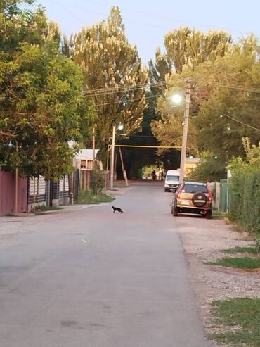 Продажа квартир: 2 комнаты, 60 м², 1 этаж at lalafo.kg — 11 Продажа квартир: 2 комнаты, 60 м², 1 этаж — 11