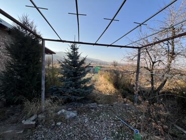 Продажа участков: 5 соток, Для сельского хозяйства, Красная книга, Тех паспорт, Договор купли-продажи — 6