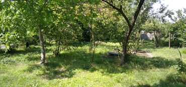 Torpaq sahələrinin satışı: 10 sot, Tikinti, Mülkiyyətçi, Kupça (Çıxarış) — 12