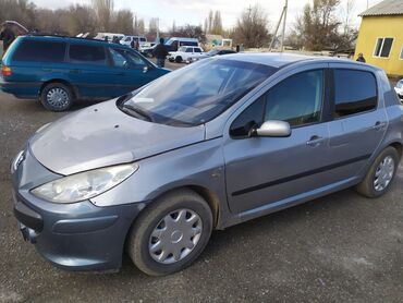жетта машина: Peugeot 307: 2001 г., 1.4 л, Механика, Бензин, Хетчбек