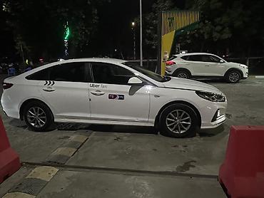 byd l: Hyundai Sonata: 2021 г., 2 л, Автомат, Газ, Седан — 7