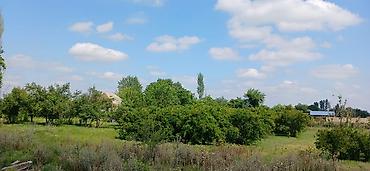 Bağ evlərinin satışı: Göyçay, 100 kv. m, 2 otaqlı, Hovuzsuz — 8