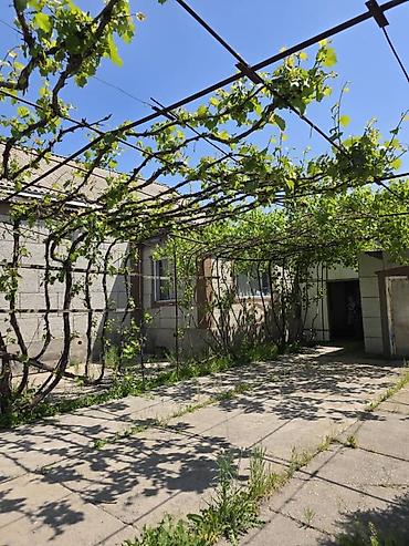 алтын казык ж м: Продается дом в тихом, экологически чистом районе. Село Ленинское Дом — 7